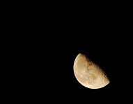DSC_0496.jpg
