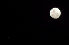 S7300804_cropped.jpg