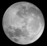 S7300811_cropped.JPG