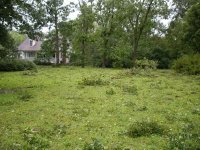 G5FrontYard.jpg