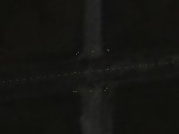 KEFDtaxiwaypic#3.JPG