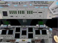 MDU_MS2_bug.jpg