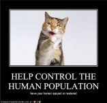 spayhuman.jpg