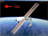 TEA.jpg