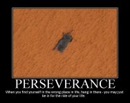 Perseverance.jpg