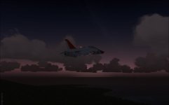 wideawake_predawn_t45.jpg