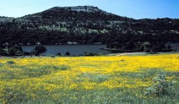 34_oklahoma_lawton.jpg