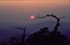 Mt-Scott-Sunset.jpg