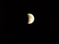 DSCN5257.jpg