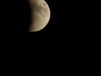 DSCN5258.jpg
