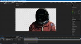 Visor Reflection 4.jpg