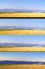 Shadow composite.jpg