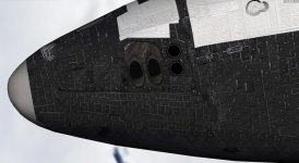 Nose 2805.jpg