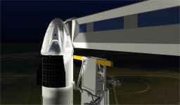 DM-1 on the pad.jpg