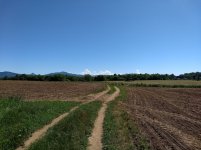 IMG_20190616_110907192.jpg