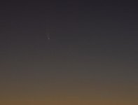 C2020 F3 (NEOWISE).jpg