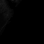 E10B18T37P16.png