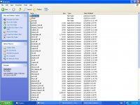 Snapshot 30.jpg