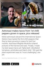 astronaut-makes-tacos-from-1st-chilli-peppers-grown-in-space-pics-released-1635697460135.jpg
