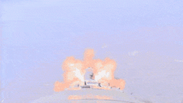 UnkemptAngryAracari-max-1mb.gif