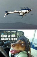 EYPOfNWWoAgZojp.jpg