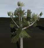 AlphaBug_04.jpg