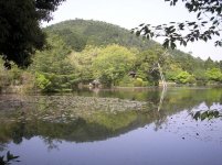 japan.jpg