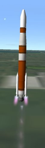 bug1.jpg