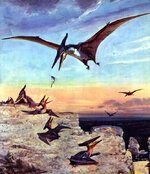 pteranodon_young_by_zdenek_burian_1960.jpg