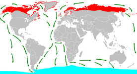 Sterna_paradisaea_distr_mig.png