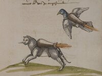 ps_rocket_cat_rocket_pigeon_1393402922.jpg