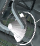 Captura2.PNG