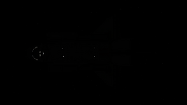 1680994175946.png