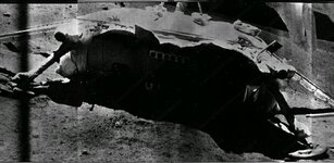 fff8e5e5816d.jpg