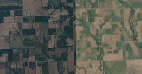 green.png