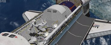 sts51acarbobay4.jpg