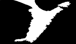 6.png