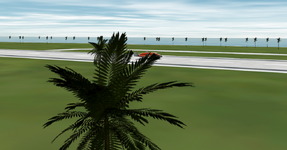 palmtree.png