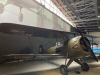 IMG_8770.JPG