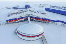 Arkticheskiy_trilistnik_(2017)_02.jpg