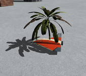pt.png
