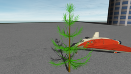 tree.png