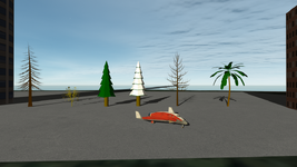 island.png