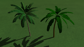 new_palm.png