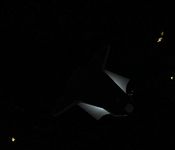 R-Bar 3.PNG