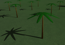 palms.png