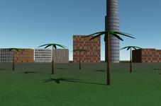 palms2.png