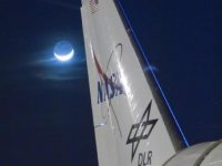 moon tail.jpg moon tail.jpg
