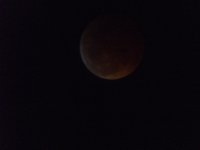 DSCF0774.jpg