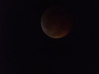 DSCF0777.jpg